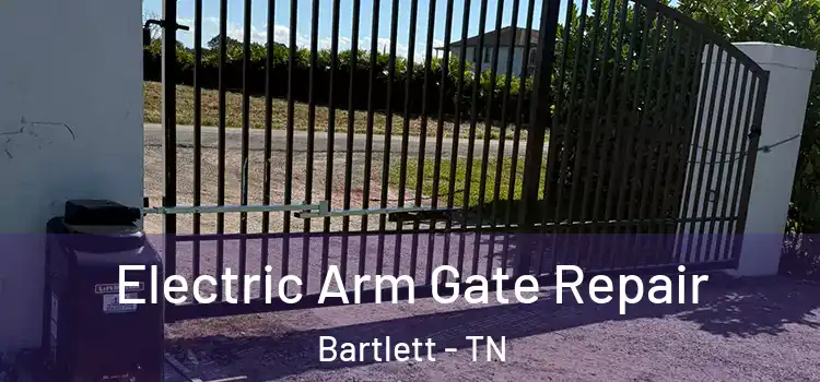 Electric Arm Gate Repair Bartlett - TN