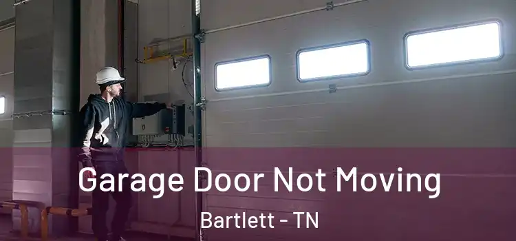  Garage Door Not Moving Bartlett - TN