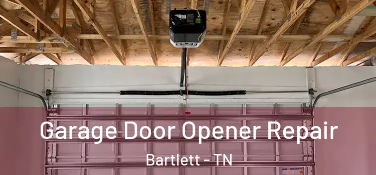  Garage Door Opener Repair Bartlett - TN