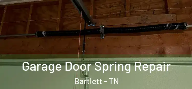  Garage Door Spring Repair Bartlett - TN