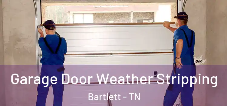  Garage Door Weather Stripping Bartlett - TN