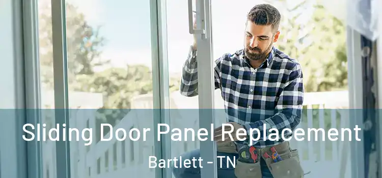  Sliding Door Panel Replacement Bartlett - TN