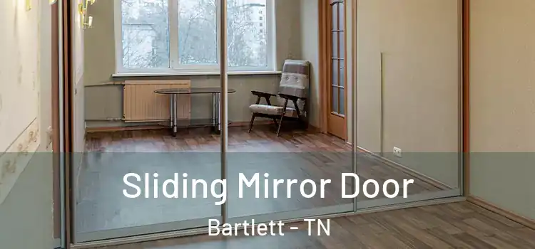  Sliding Mirror Door Bartlett - TN